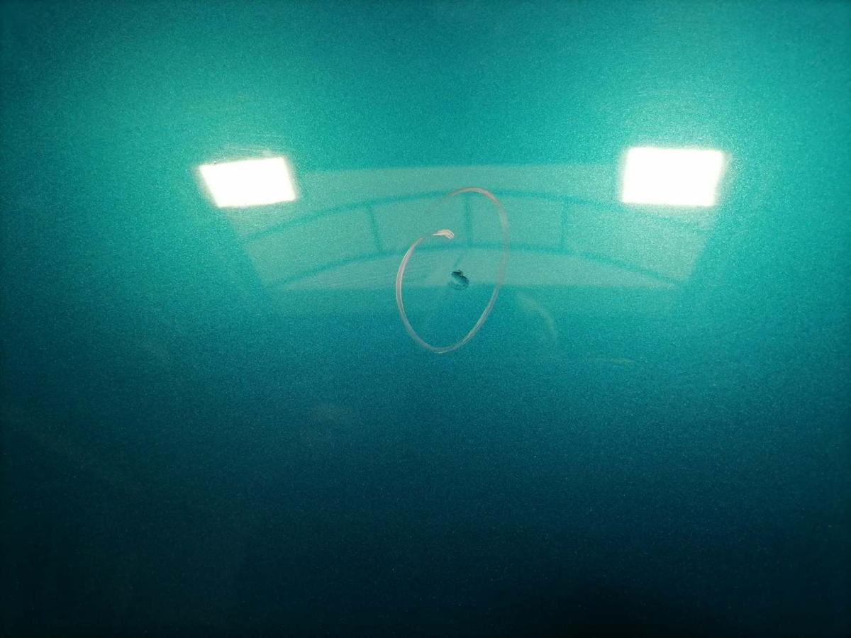 Peugeot 207 original Motorhaube KMU Blaumetallic Bj.2008